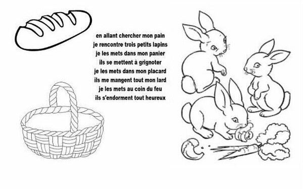 Est-ce que le lapin peut boire de l'eau ?