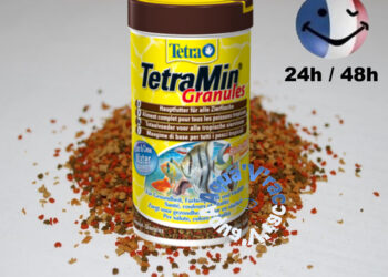 Est-ce que le pain est bon pour les poissons rouges ?