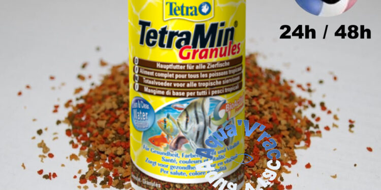 Est-ce que le pain est bon pour les poissons rouges ?