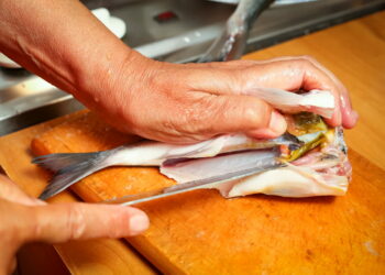 Est-ce que le poisson aspirateur existe ?