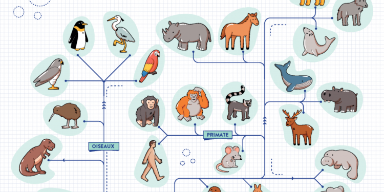 Est-ce que le poisson est un vertébré ?