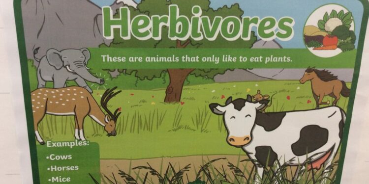 Est-ce que le porc est un carnivore ?