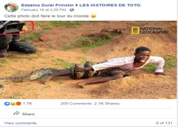 Est-ce que le python peut manger un homme ?