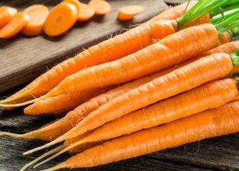 Est-ce que le riz est bon pour les chiens ?