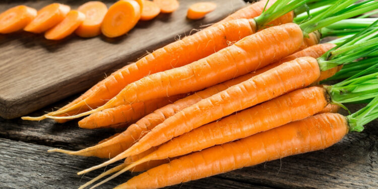 Est-ce que le riz est bon pour les chiens ?