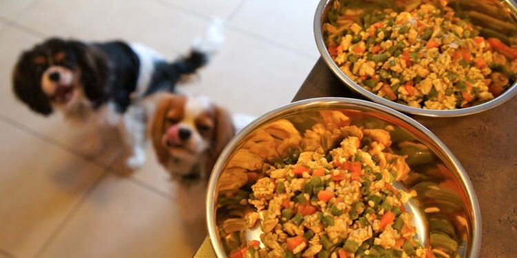 Est-ce que le riz est bon pour les chiens ?