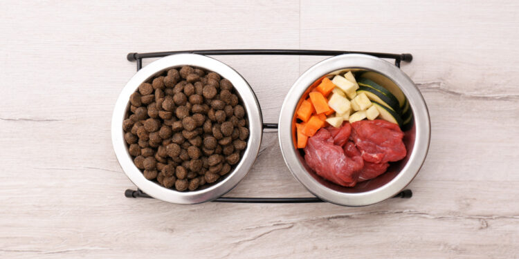 Est-ce que le riz est bon pour les chiens ?