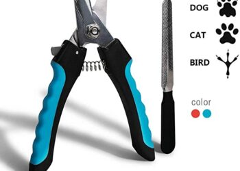 Est-ce que le vétérinaire coupe les griffes ?