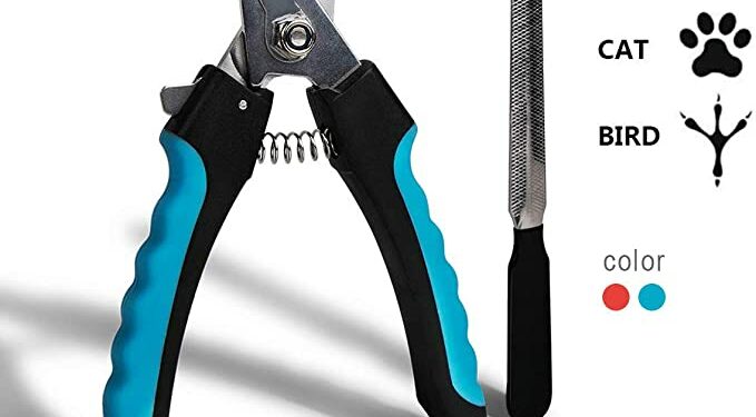 Est-ce que le vétérinaire coupe les griffes ?