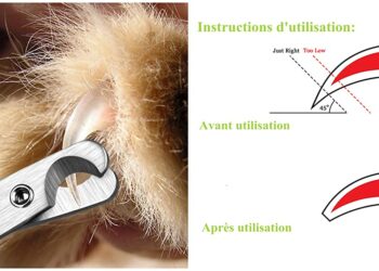 Est-ce que le vétérinaire peut couper les griffes d'un chat ?