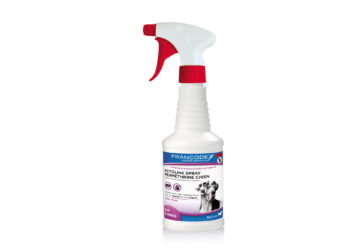 Est-ce que le vinaigre blanc tue les puces ?