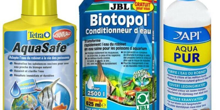 Est-ce que l'eau du robinet est bonne pour les poissons ?