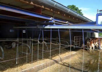 Est-ce que les anguilles sont électriques ?