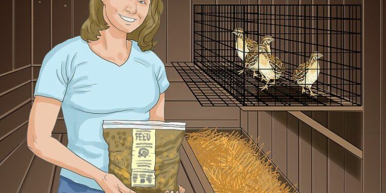 Est-ce que les cailles craignent le froid ?