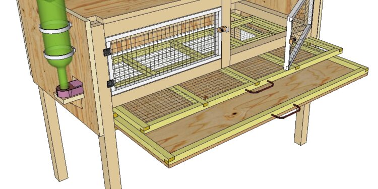 Est-ce que les cailles peuvent vivre avec les poules ?