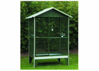 Est-ce que les canaris peuvent vivre dehors ?