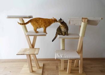Est-ce que les chats aiment les arbres à chat ?