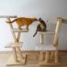 Est-ce que les chats aiment les arbres à chat ?