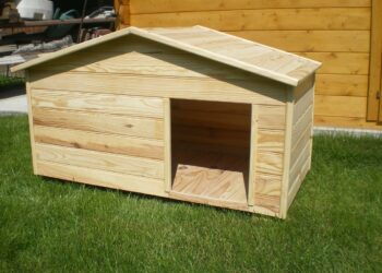 Est-ce que les chats ont froid l'hiver dehors ?