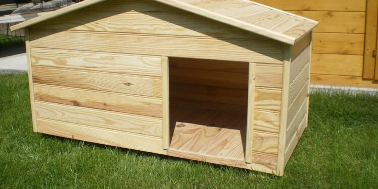 Est-ce que les chats ont froid l'hiver dehors ?