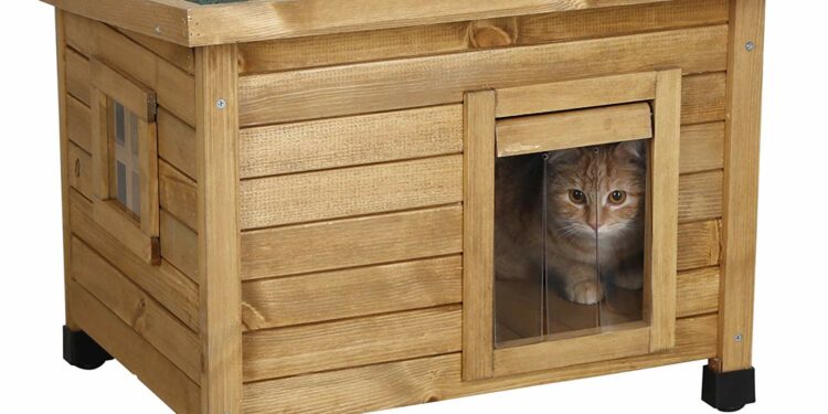 Est-ce que les chats ont froid l'hiver dehors ?