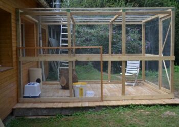 Est-ce que les chats ont froid l'hiver dehors ?