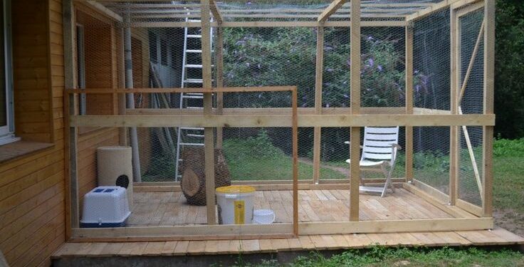 Est-ce que les chats ont froid l'hiver dehors ?