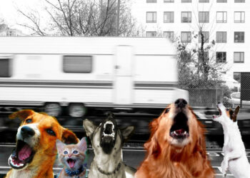 Est-ce que les chiens aiment les bisous ?