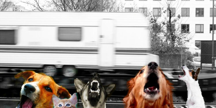 Est-ce que les chiens aiment les bisous ?