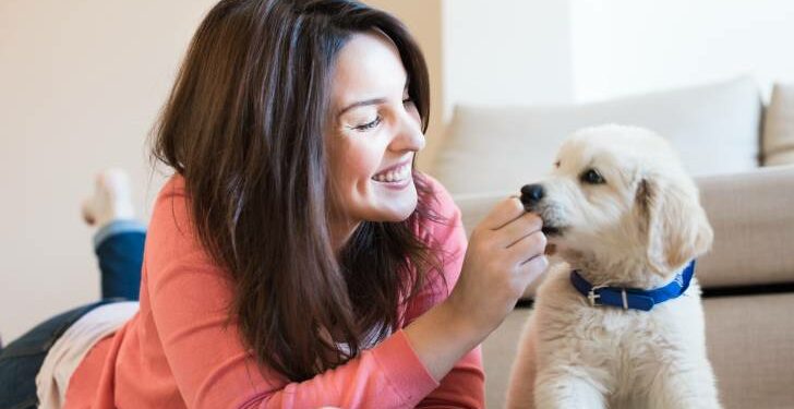 Est-ce que les chiens aiment les bisous ?