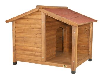 Est-ce que les chiens aiment les niches ?