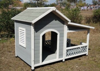 Est-ce que les chiens aiment les niches ?