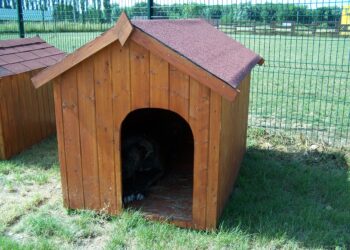 Est-ce que les chiens aiment les niches ?