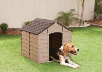 Est-ce que les chiens aiment les niches ?