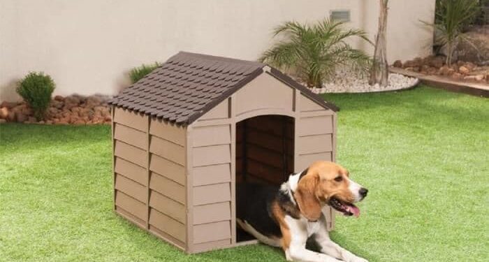 Est-ce que les chiens aiment les niches ?