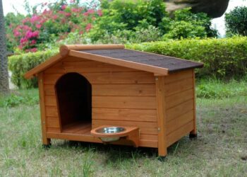 Est-ce que les chiens aiment les niches ?