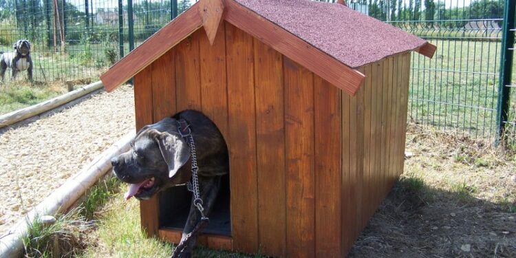 Est-ce que les chiens aiment les niches ?