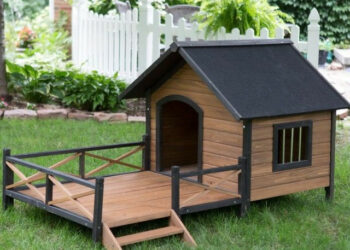 Est-ce que les chiens aiment les niches ?