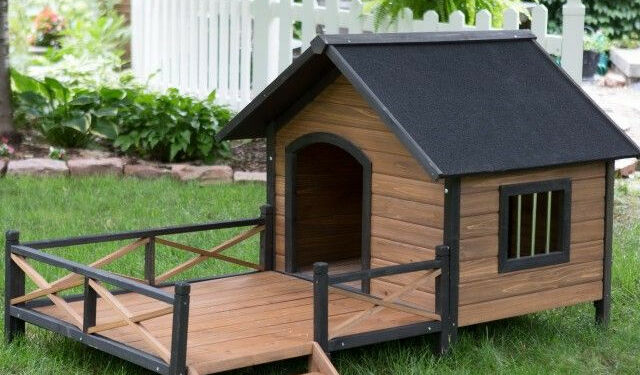 Est-ce que les chiens aiment les niches ?