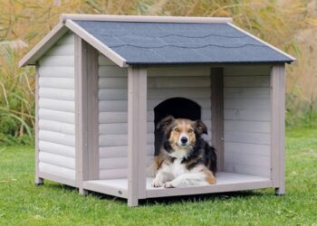 Est-ce que les chiens aiment les niches ?