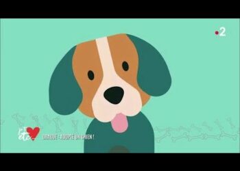 Est-ce que les chiens aiment qu'on leur parle ?