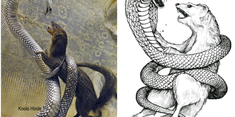 Est-ce que les chiens font fuir les serpents ?