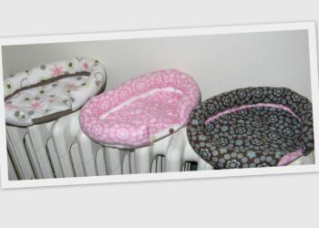 Est-ce que les cochons d'Inde dorment la nuit ?