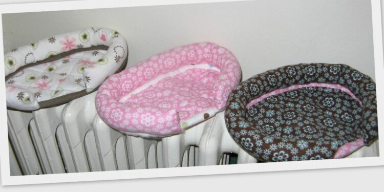 Est-ce que les cochons d'Inde dorment la nuit ?