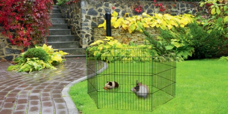 Est-ce que les cochons d'Inde peuvent avoir froid ?