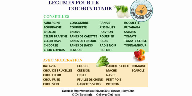 Est-ce que les cochons d'Inde peuvent manger des épluchures de pommes de terre ?