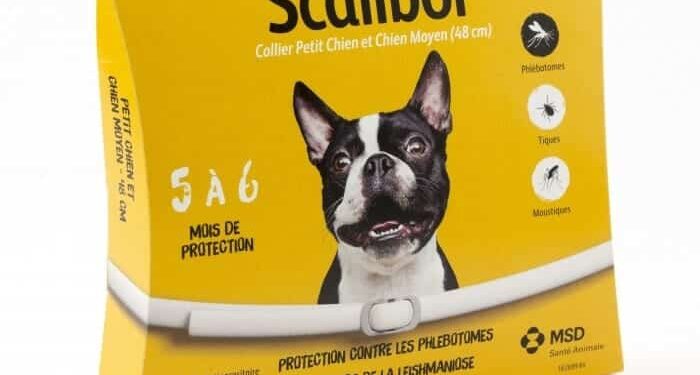 Est-ce que les colliers anti puces sont efficaces ?