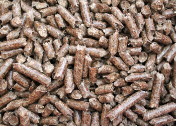 Est-ce que les copeaux de bois sont bien pour les lapins ?