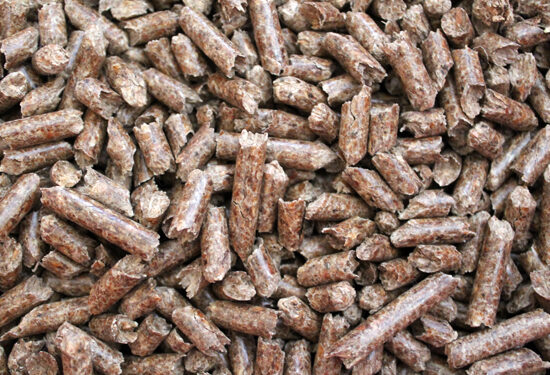 Est-ce que les copeaux de bois sont bien pour les lapins ?