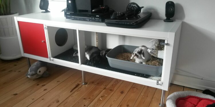 Est-ce que les copeaux de bois sont bien pour les lapins ?